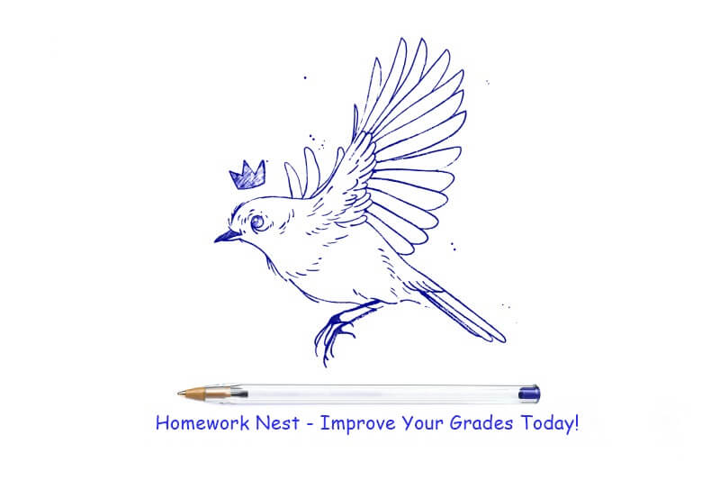 Welcome to Homework Nest 